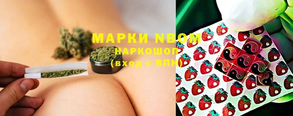 мяу мяу мука Горняк