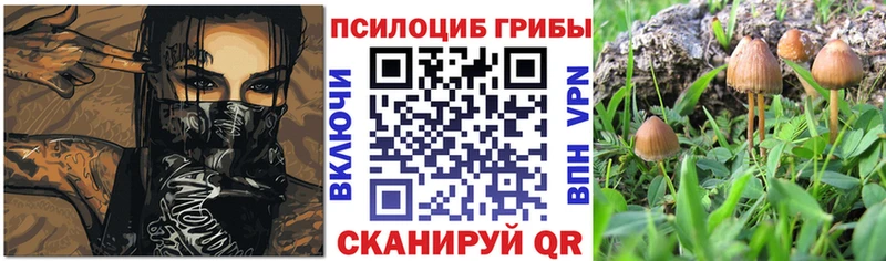 Псилоцибиновые грибы Cubensis Надым